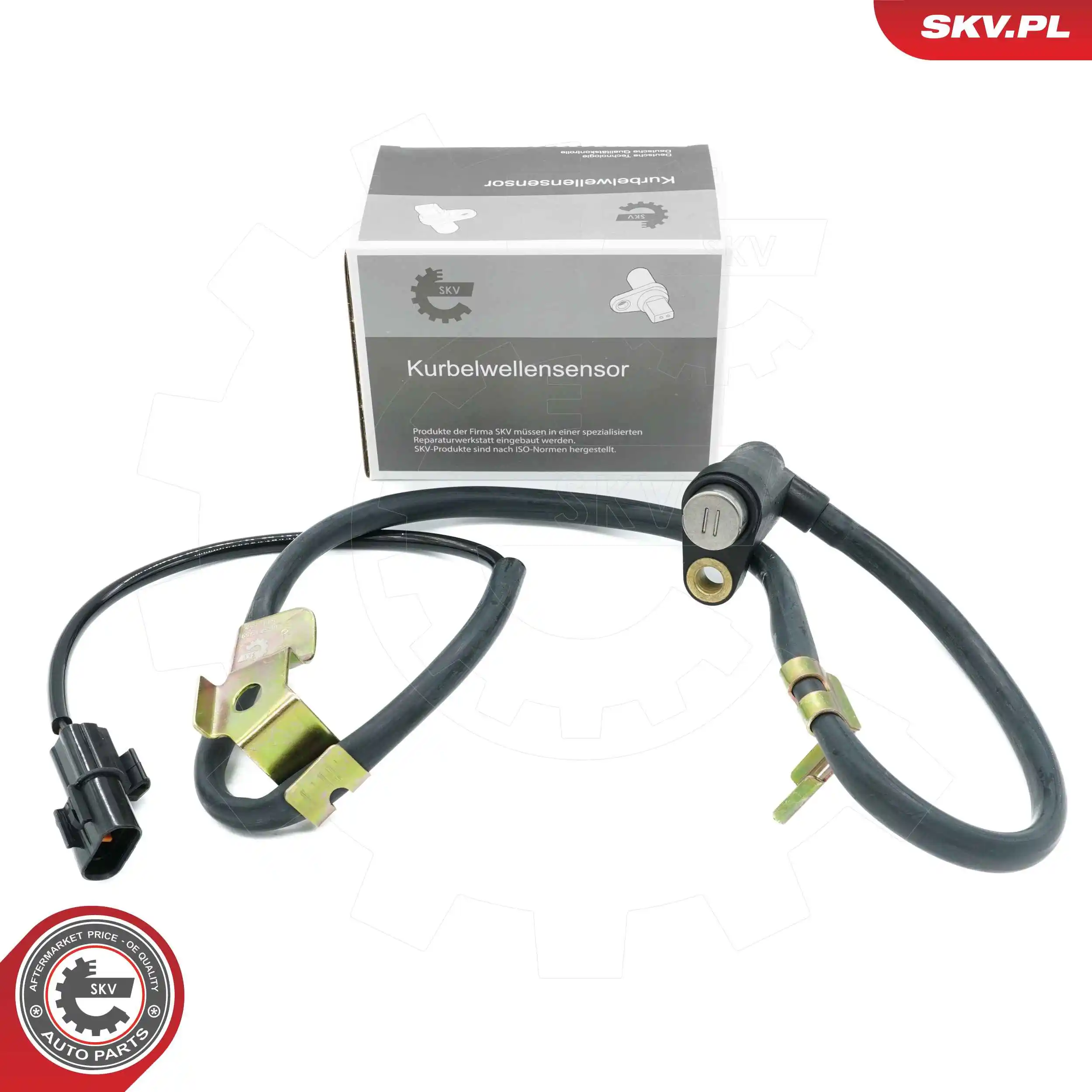 Sensor, wheel speed
